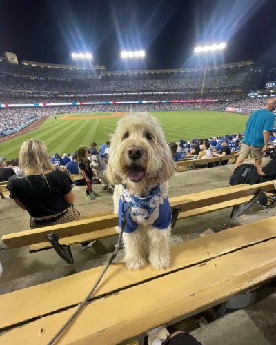 32A8B9E0-C924-4A5A-8310-D368E05CF610