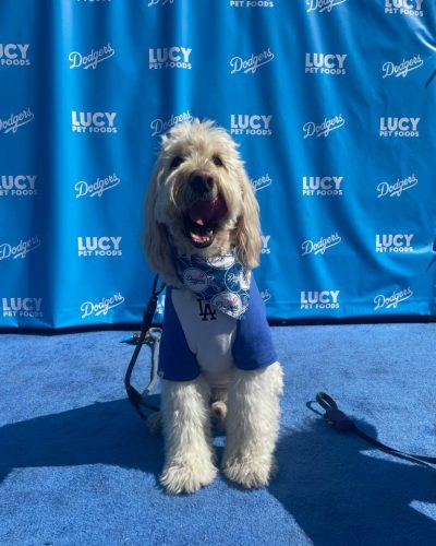 A991D1E8-679A-4776-AAE8-B13DFD3DA685